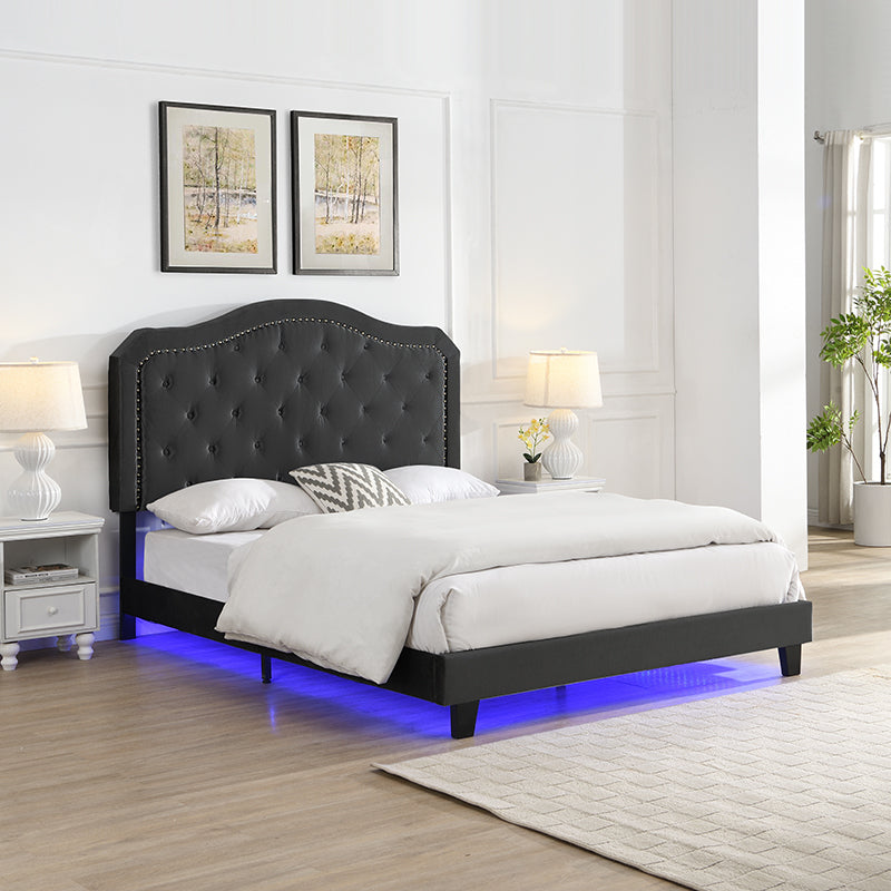 Queen Upholstered Platform Bed: Black Velvet, Tufted, LED, Curved