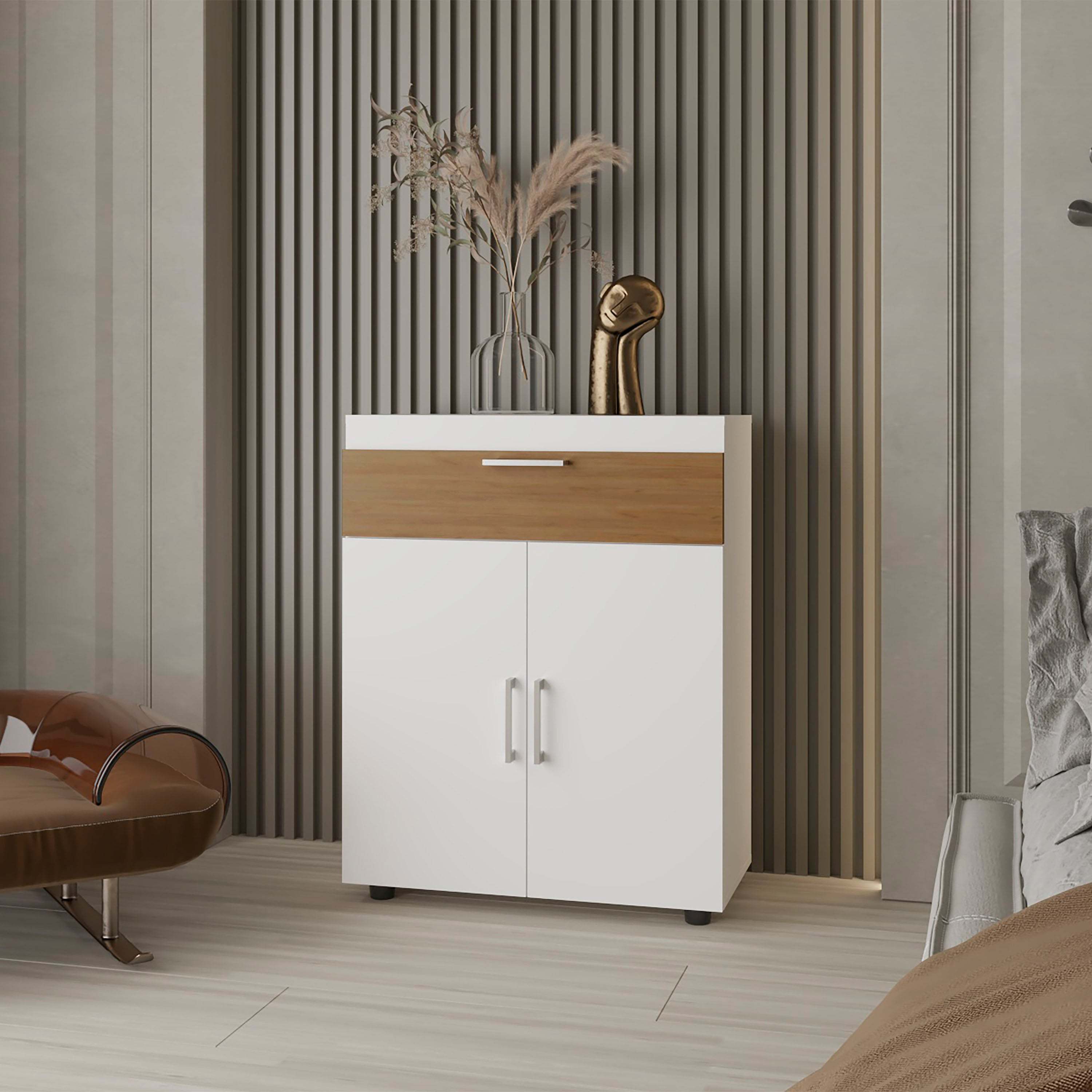 Pneumatic Lift-Up Shoe Rack: Space-Saving Compartment Storage