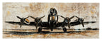 Brown and black airplane wall art print, front view with wings and nose details