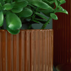 Close-up of dark brown ribbed ceramic vase with vertical fluted texture