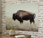 Sepia wall art print of a bison standing in tall grass