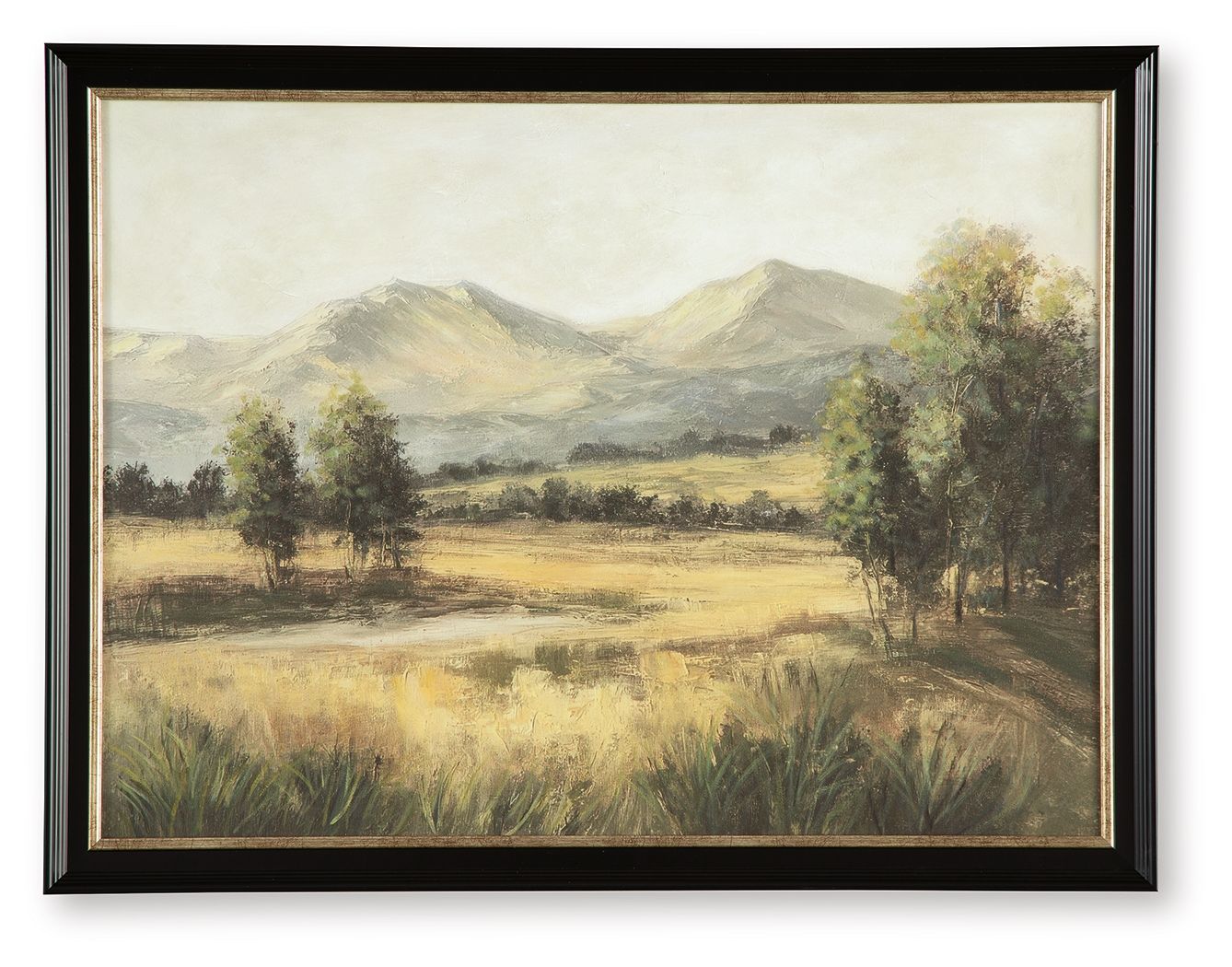 Framed landscape wall art with mountains, fields, and trees; black and gold frame.