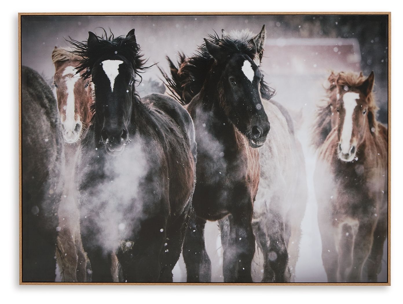 Framed wall art featuring three dark horses in a dusty scene