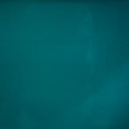 Vase not visible; teal background