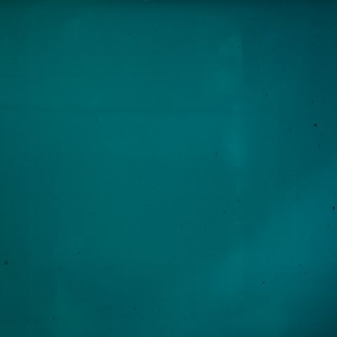 Vase not visible; teal background