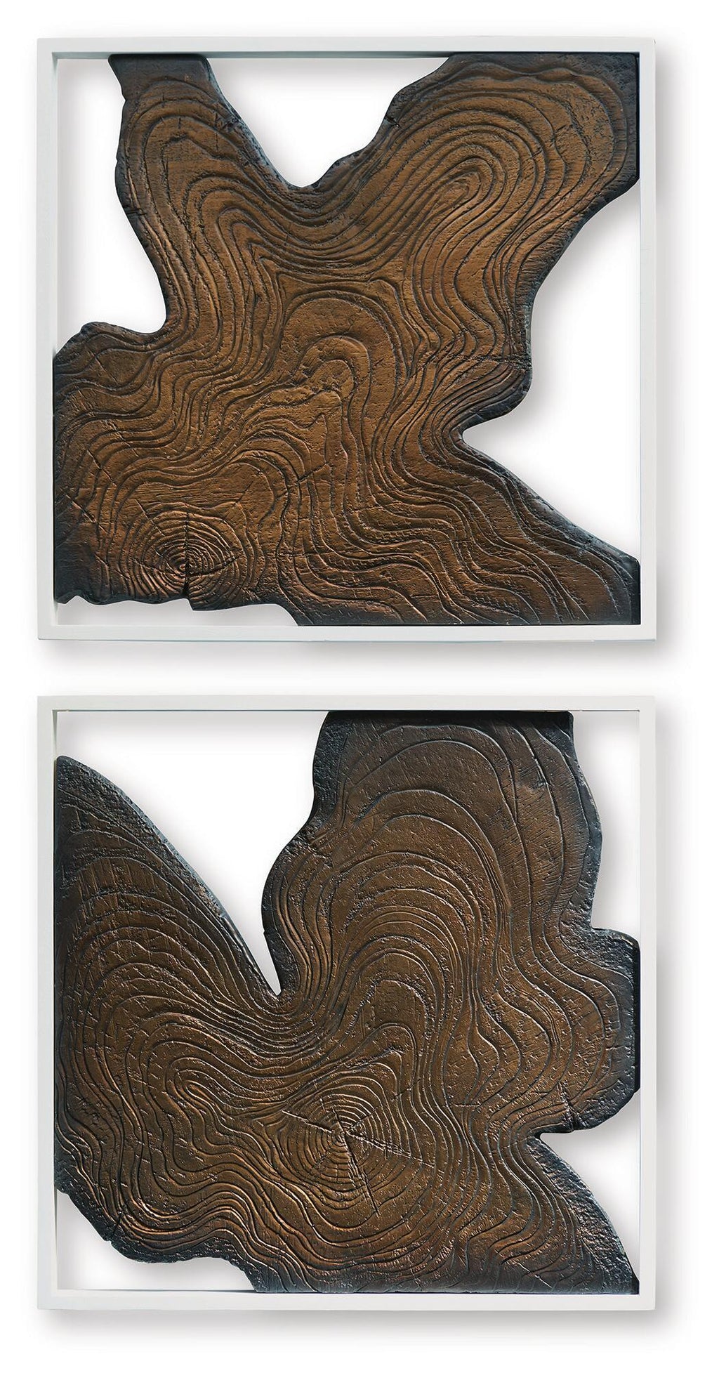 Pair of framed abstract wall art with brown contour-line woodgrain, irregular shapes