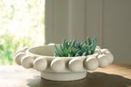 Beige stone-textured bowl planter with pebble rim holding a green succulent