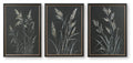 Framed botanical wall art set of 3, dark background with light feather stems