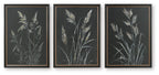 Framed botanical wall art set of 3, dark background with light feather stems