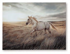 Horse and foal wall art on canvas, beige horses in grassy desert landscape