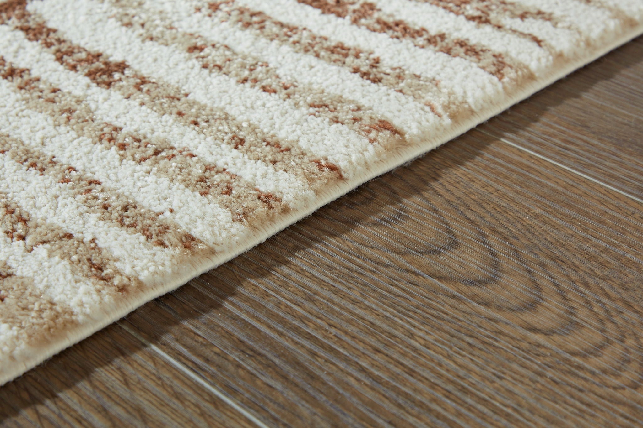 Area rug detail: cream pile with rust patterned bands along the edge