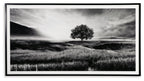 Framed monochrome landscape print with lone tree in field under cloudy sky