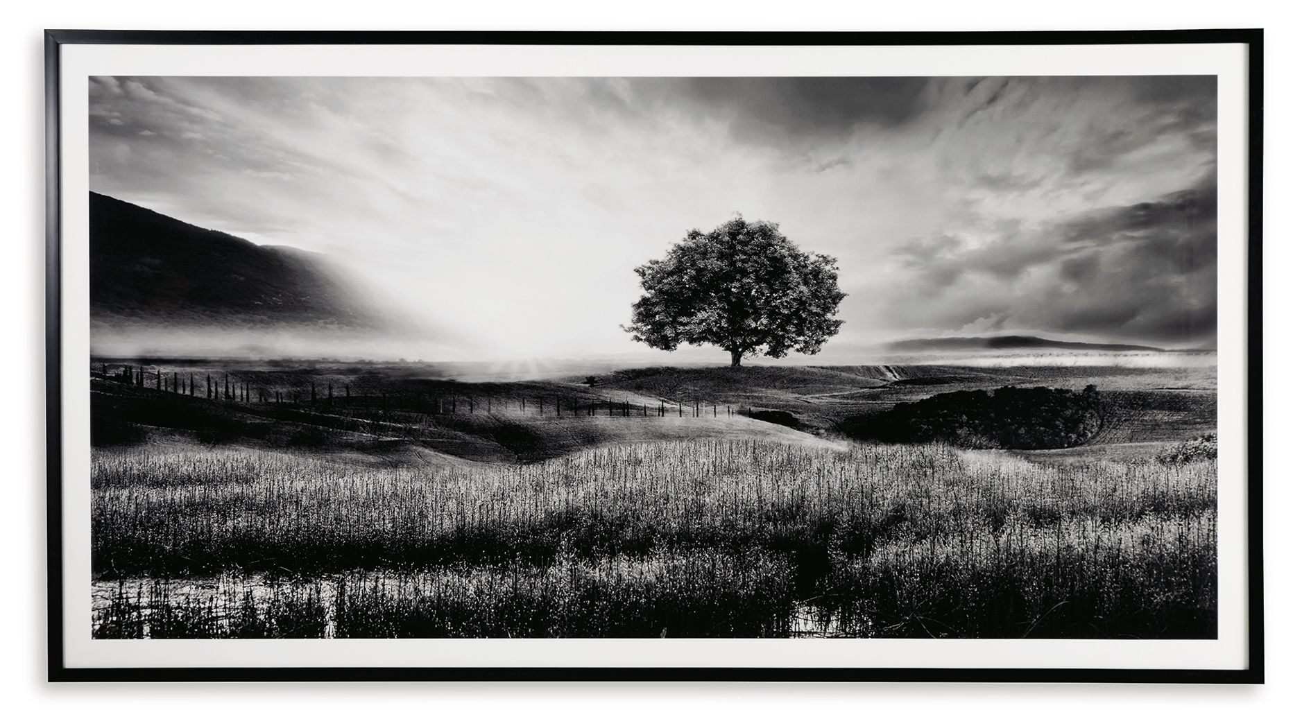 Framed monochrome landscape print with lone tree in field under cloudy sky