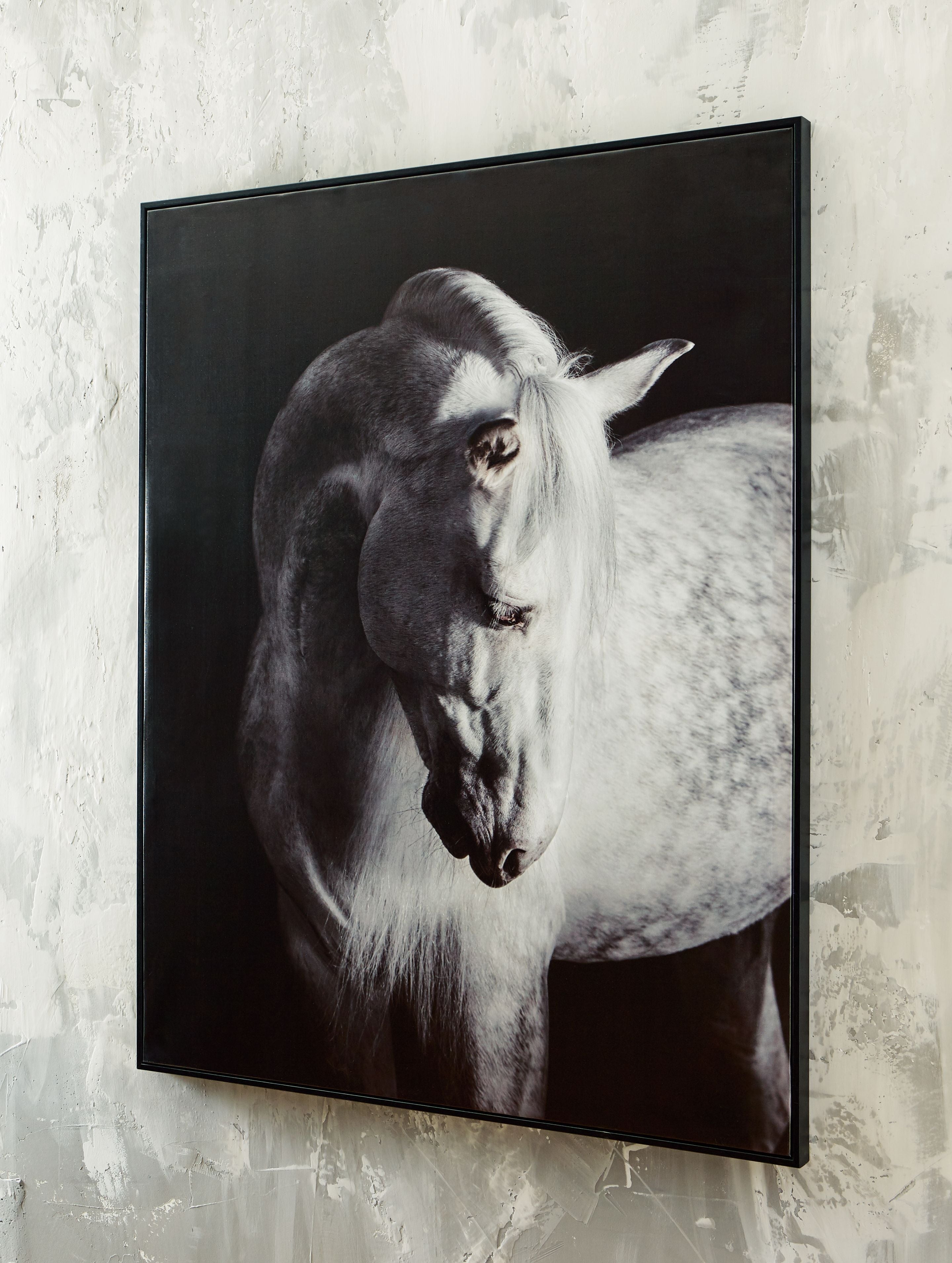 Black-framed wall art print of a black-and-white horse portrait
