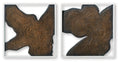 Set of 2 framed abstract wall art, brown woodgrain contour lines in irregular shapes
