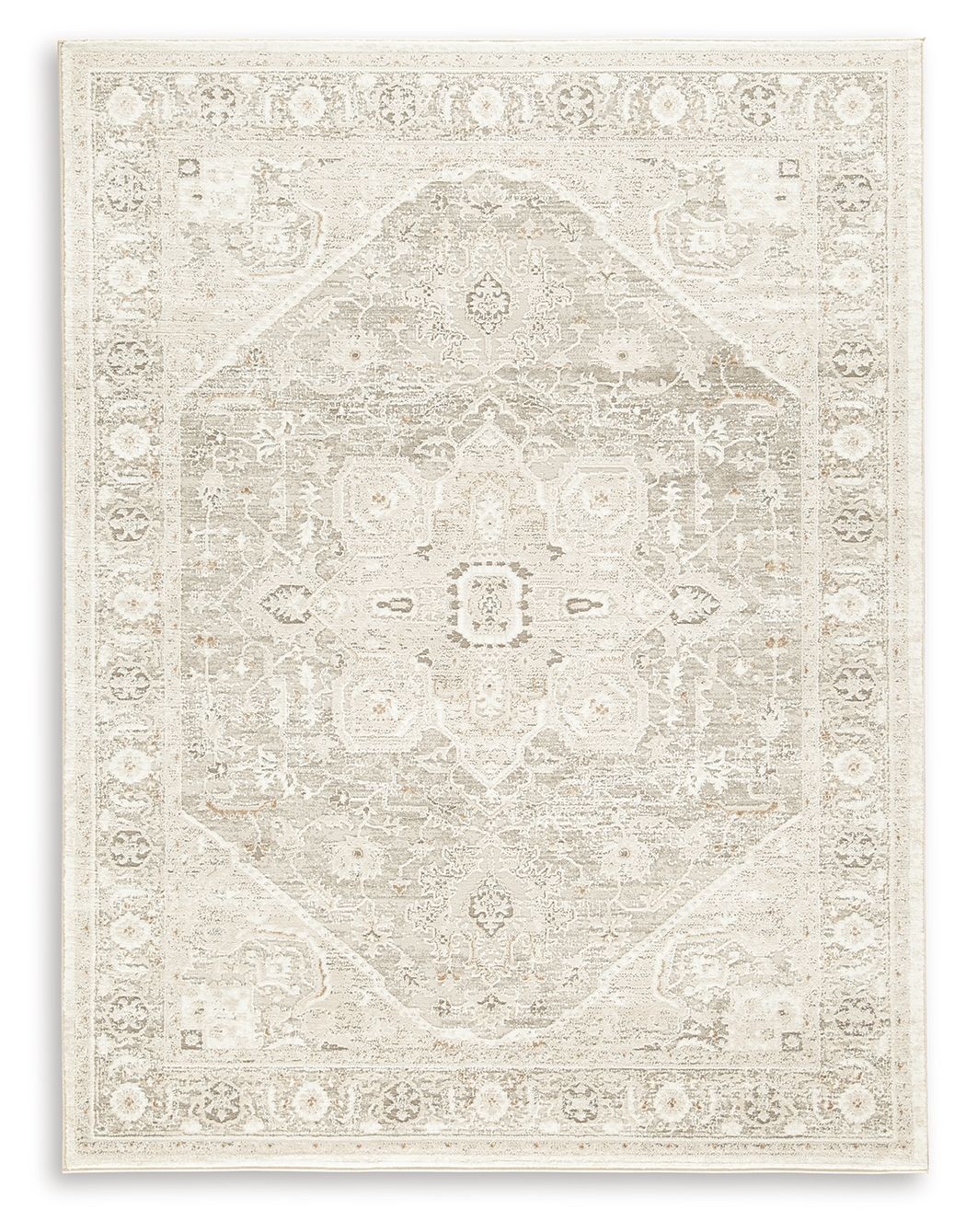Beige area rug with medallion motif and ornate geometric border