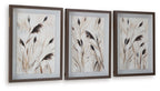 Set of 3 framed feather wall art prints with varied plume arrangements, beige and dark