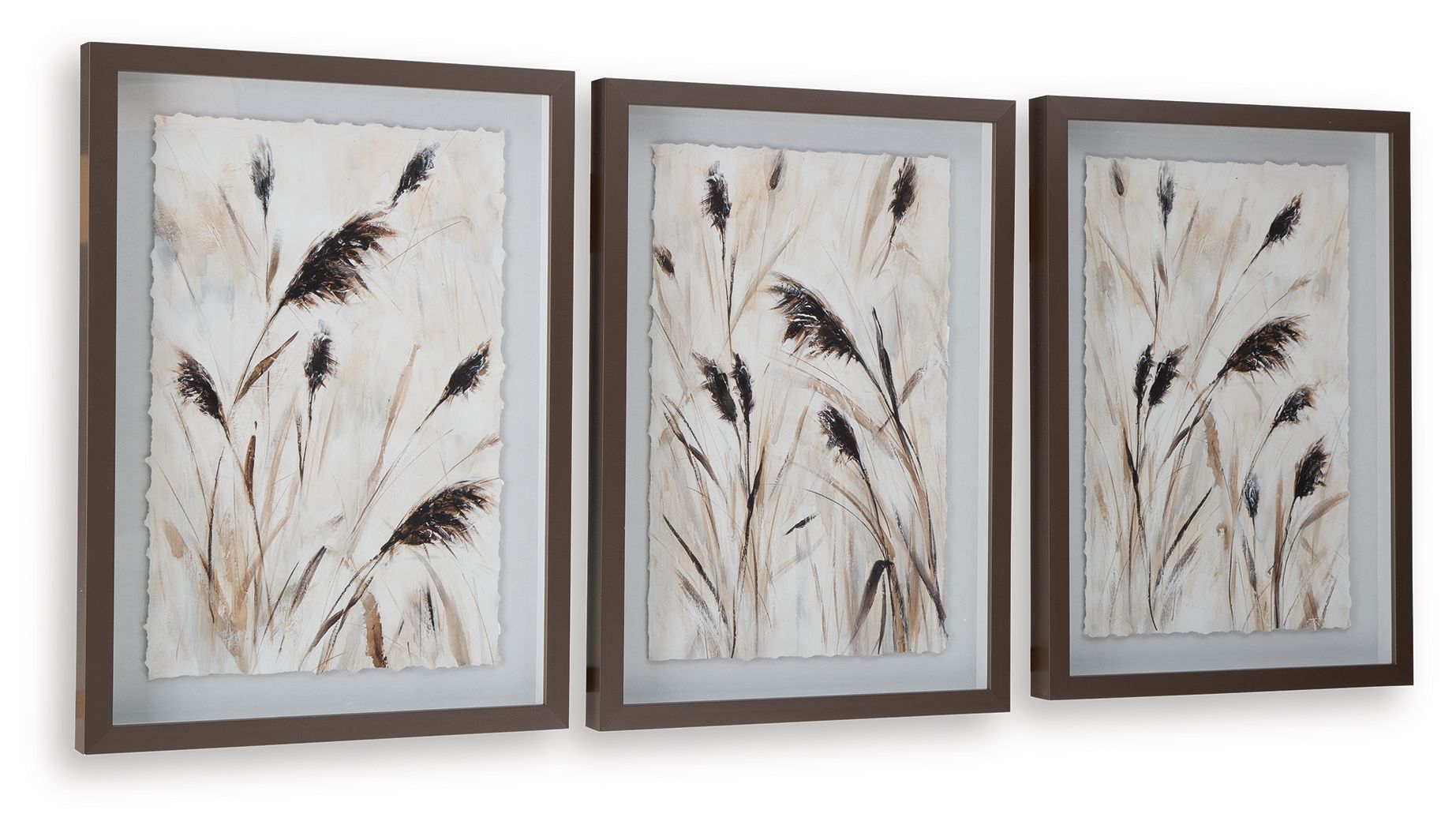 Set of 3 framed feather wall art prints with varied plume arrangements, beige and dark