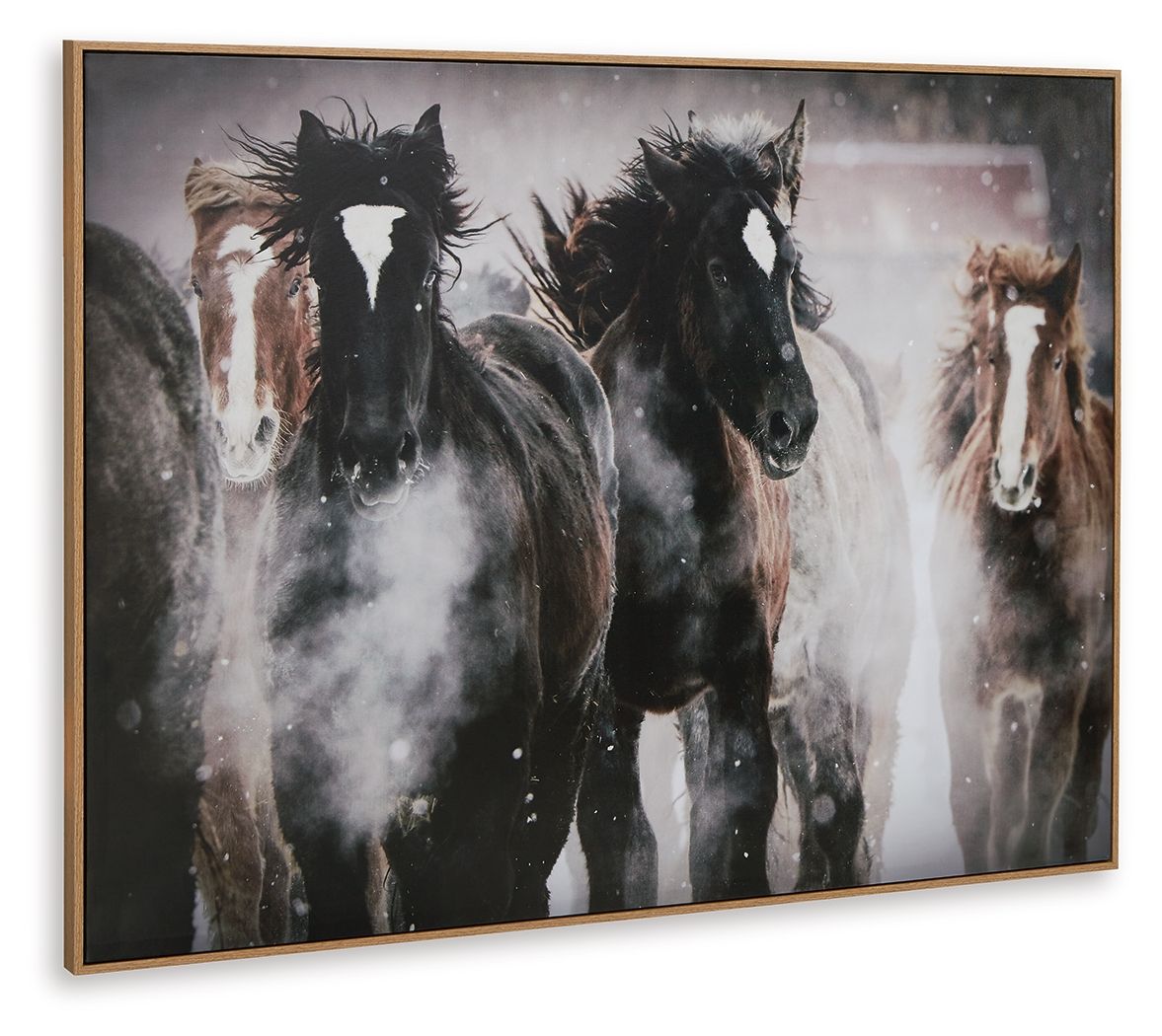 Framed horse wall art with two dark horses and one lighter horse