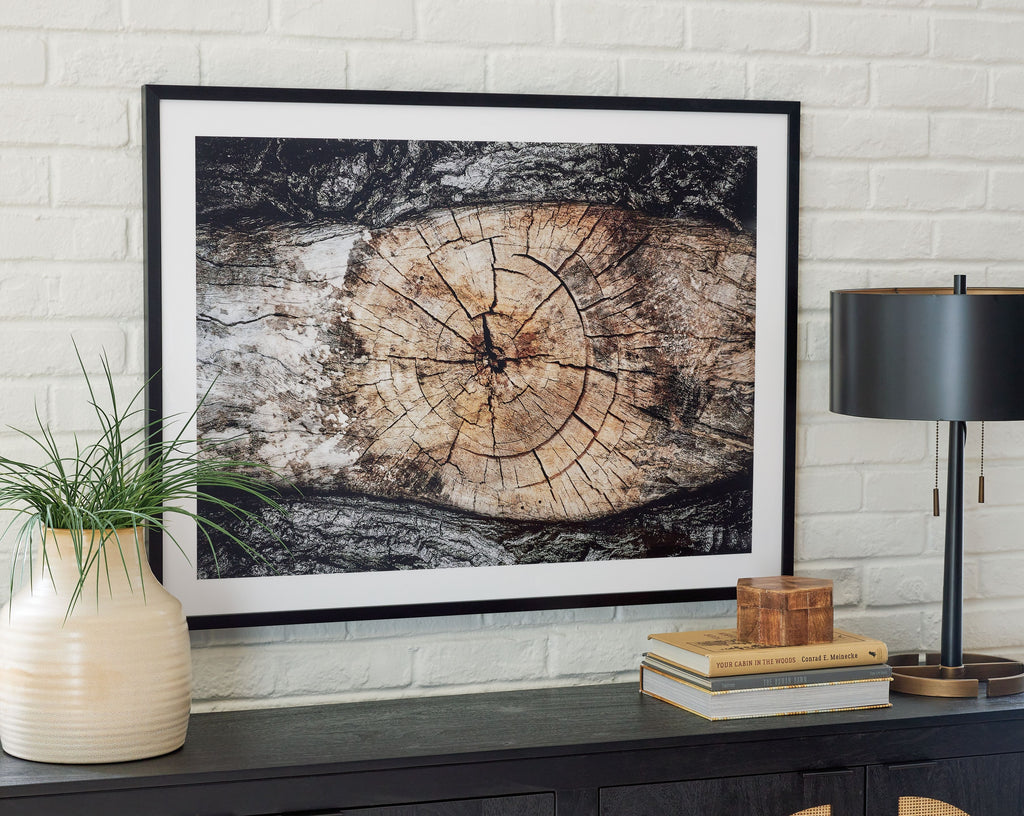 Framed abstract wall art with circular tree-ring center on light and dark textured background