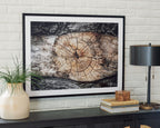 Framed abstract wall art with circular tree-ring center on light and dark textured background