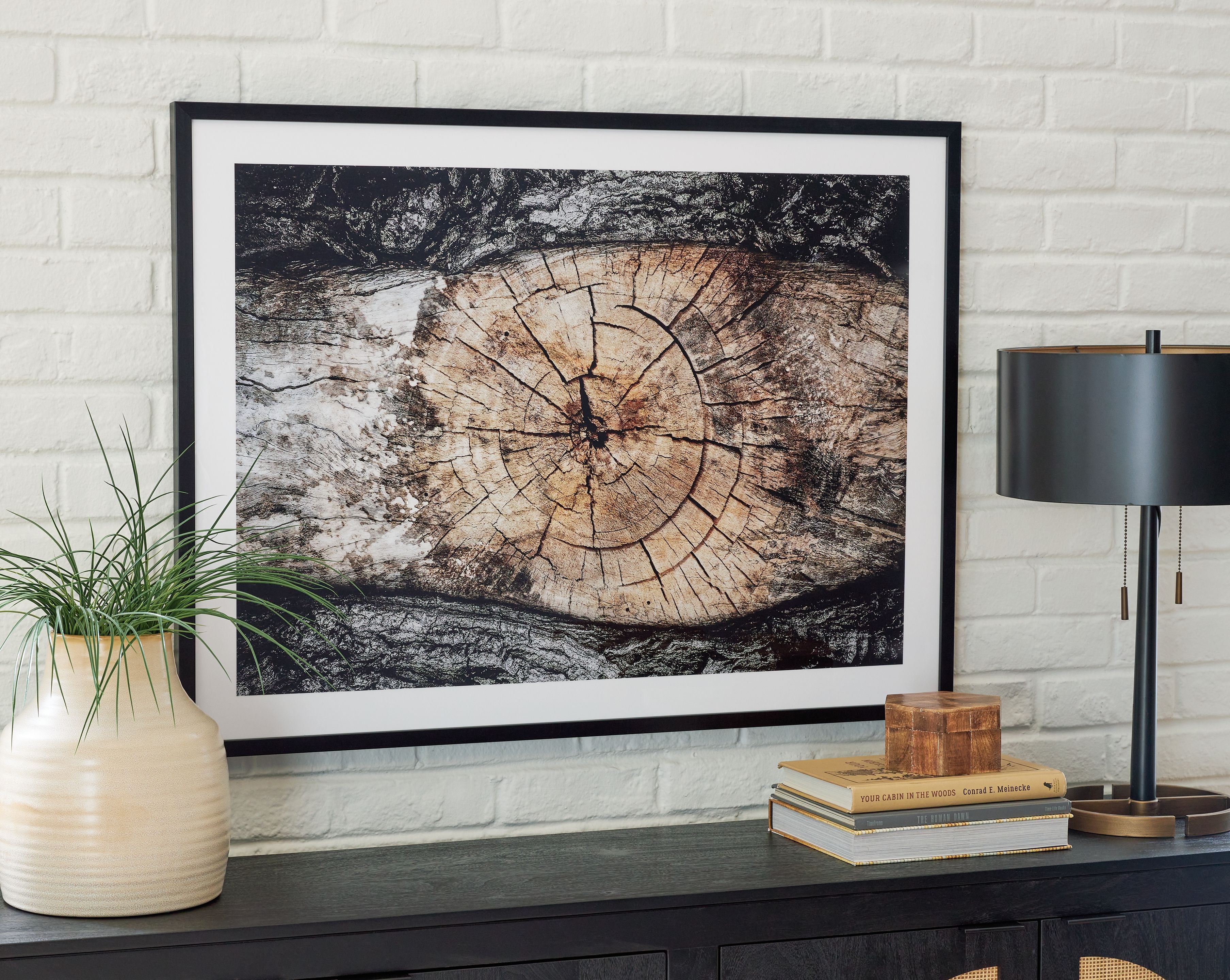 Framed abstract wall art with circular tree-ring center on light and dark textured background