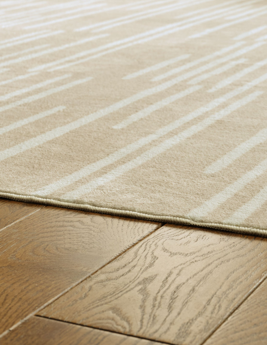 Beige area rug corner with thin border and visible woven texture