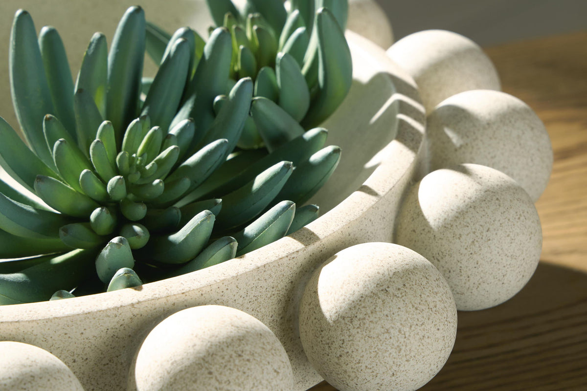 Beige pebble-rim bowl planter with close-up green succulent leaves