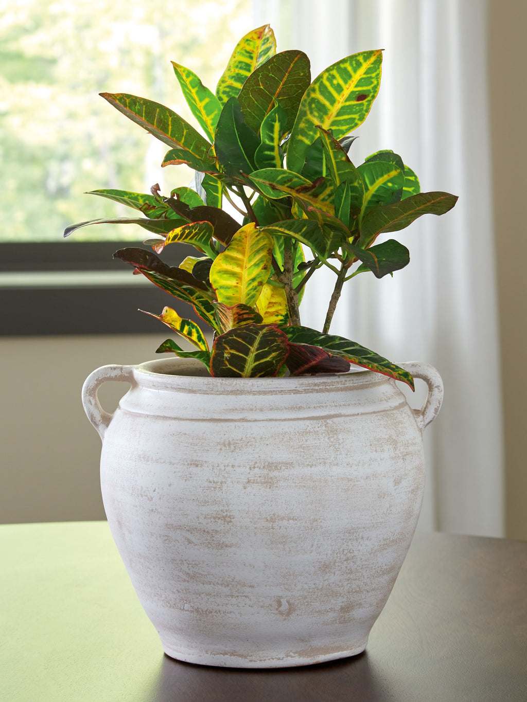 Meadie 9-inch vase, white ceramic with side handles and textured finish