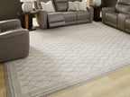 Gray area rug with trellis pattern and outlined border