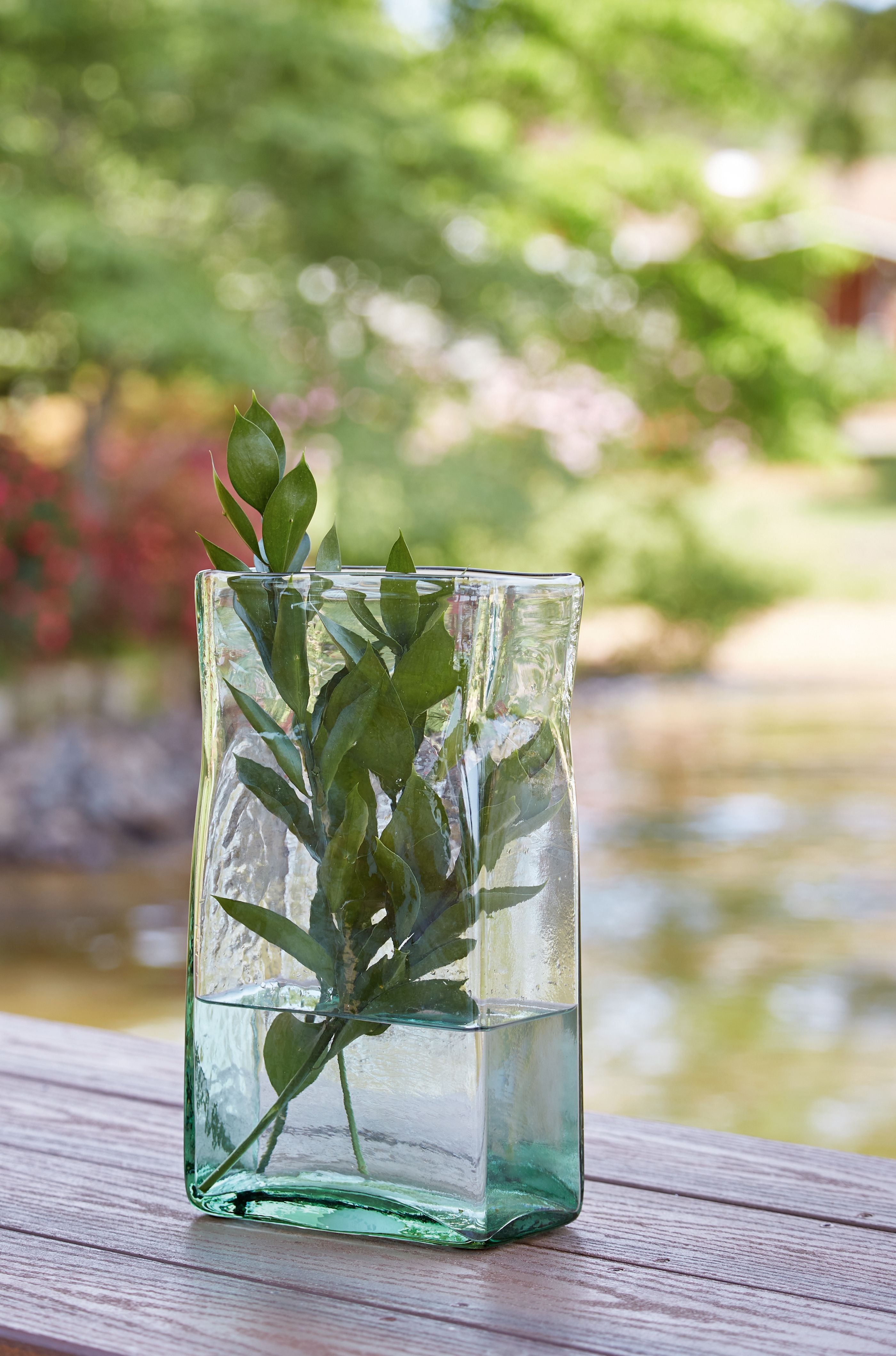 Taylow green glass vase with leafy stems inside, clear square shape