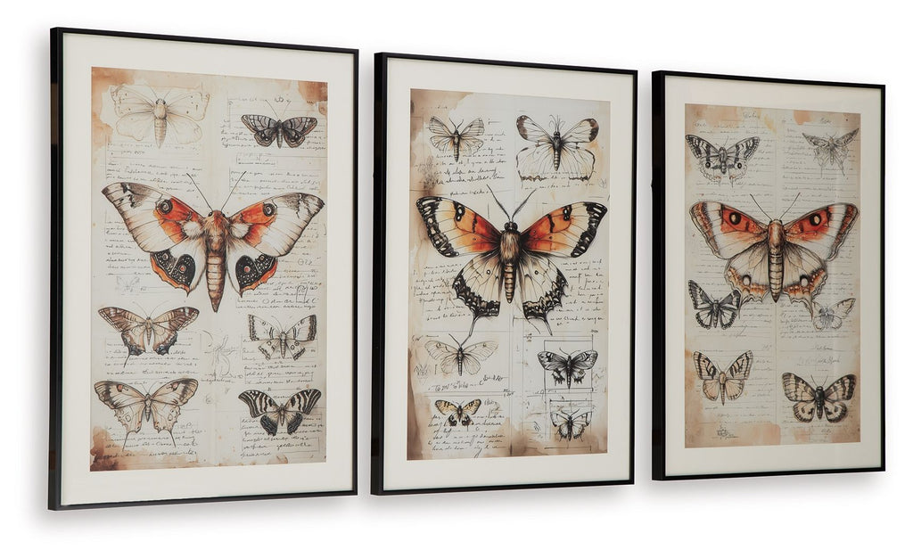 Three framed butterfly wall art prints with orange and red wings on ivory
