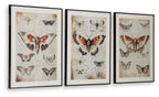 Three framed butterfly wall art prints with orange and red wings on ivory