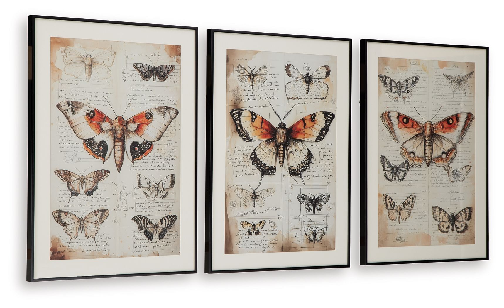 Three framed butterfly wall art prints with orange and red wings on ivory