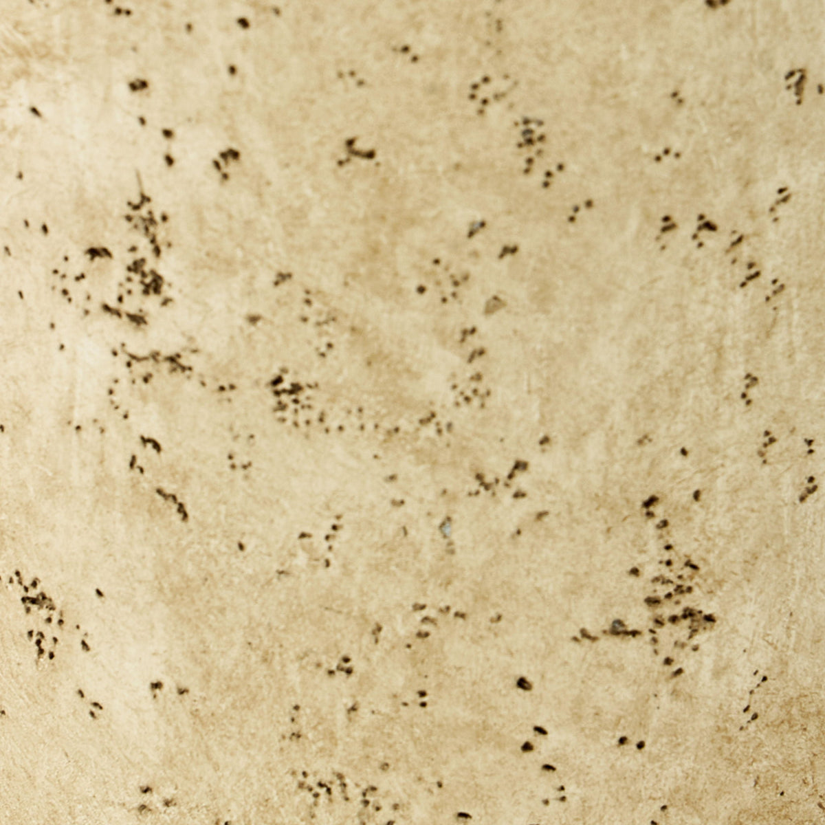 Beige speckled vase texture close-up with dark speckles