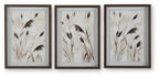 Set of 3 framed feather wall art prints, beige and dark brown on light background