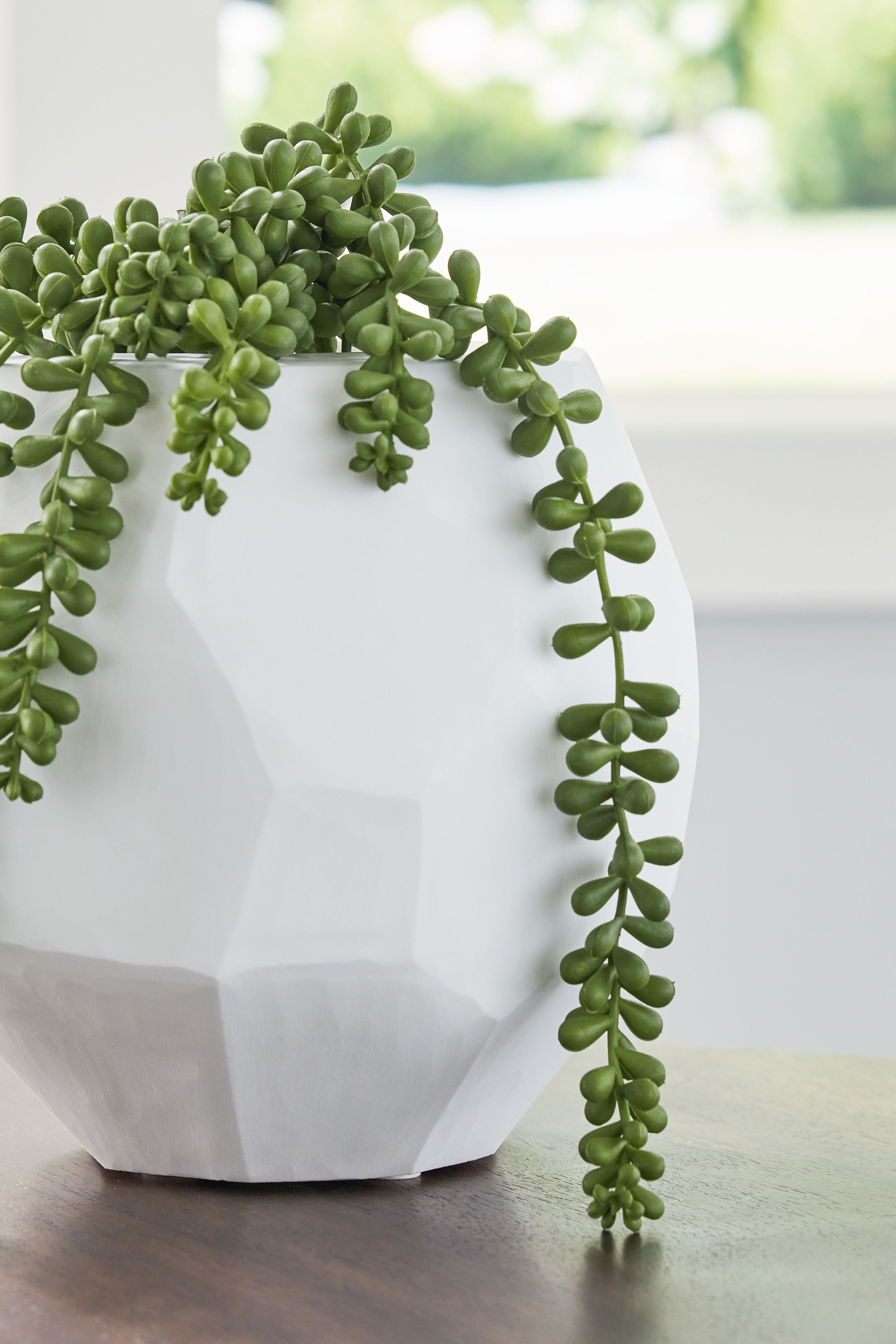 White faceted ceramic vase with long green succulent trailing down
