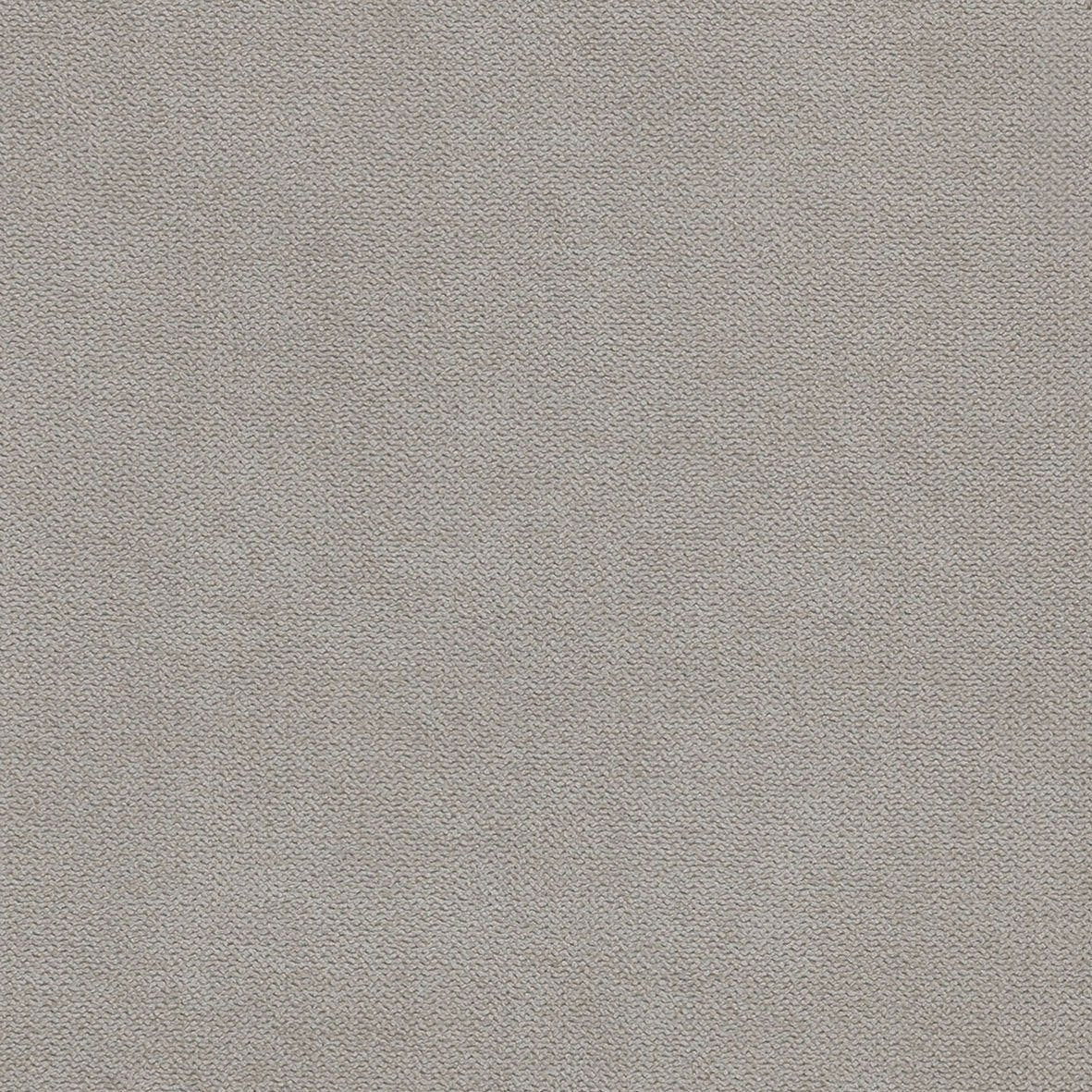 21045919