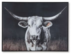 Framed wall art with a white cow portrait, long horns, on a dark background