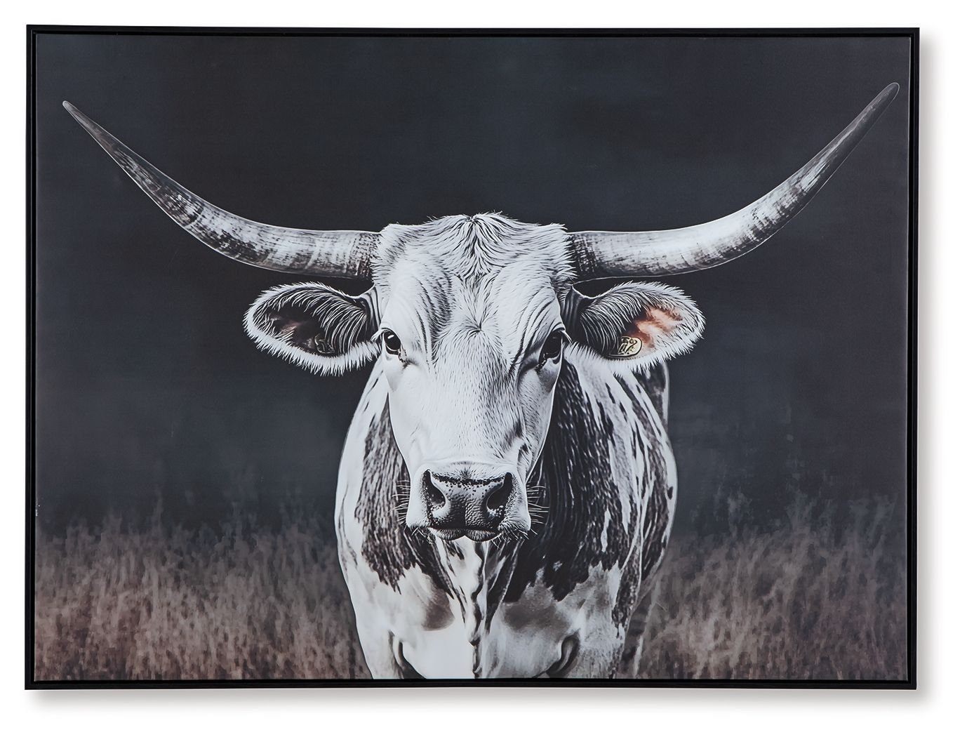 Framed wall art with a white cow portrait, long horns, on a dark background
