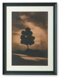 Framed wall art print with lone tree silhouette in brown and dark sky