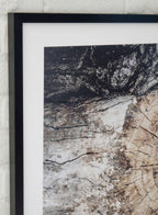 Close view of framed abstract tree-ring wall art with textured black and cream surface