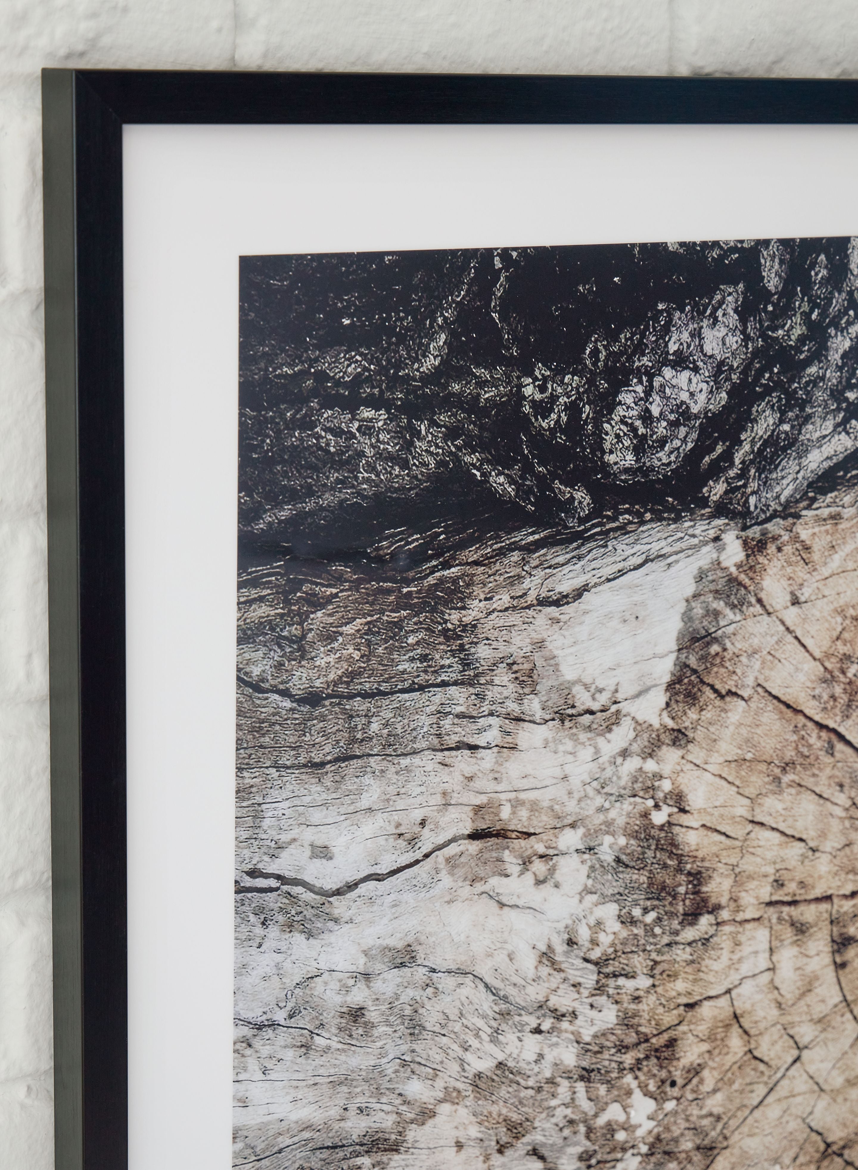 Close view of framed abstract tree-ring wall art with textured black and cream surface