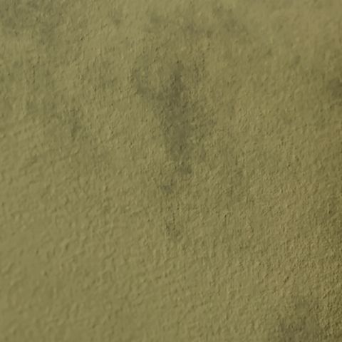 Olive green fabric upholstery swatch with subtle textured weave