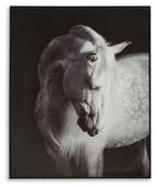Black-framed wall art print of a black-and-white horse head