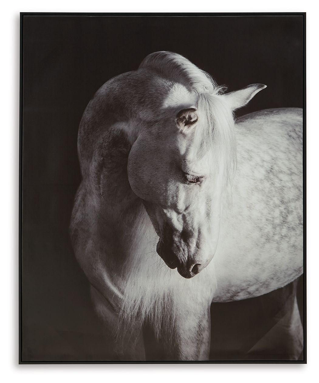 Black-framed wall art print of a black-and-white horse head