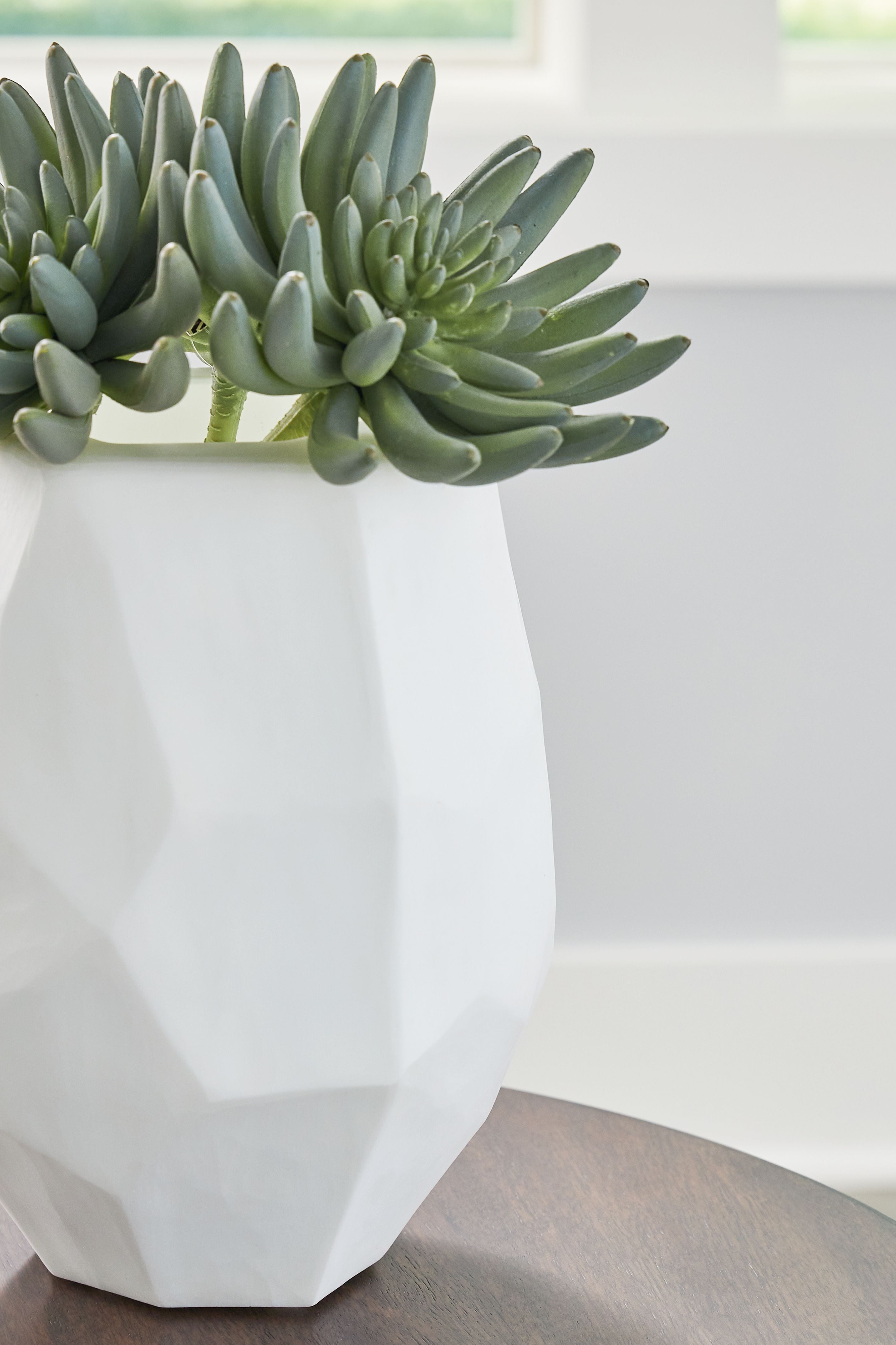 White faceted ceramic vase holding a green succulent arrangement in top opening