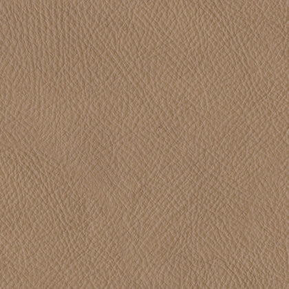 Close-up of textured tan upholstery fabric with fine grain pattern