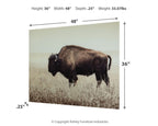 Sepia wall art print size diagram with bison in tall grass