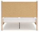 Cadmori - Upholstered Panel Bed